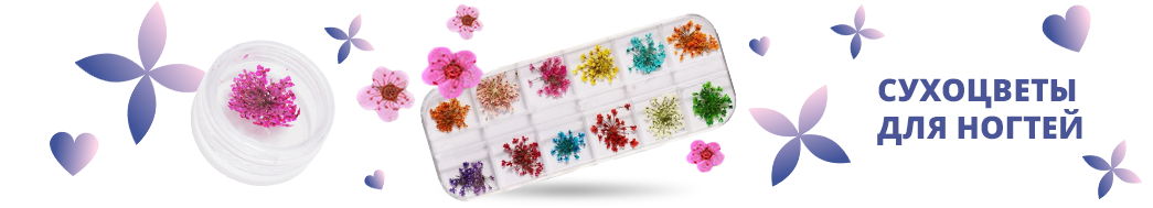 Сухоцветы