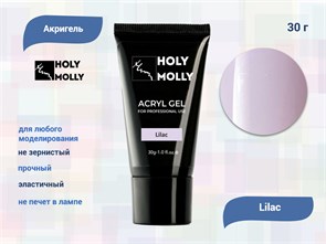 {{productViewItem.photos[photoViewList.activeNavIndex].Alt || productViewItem.photos[photoViewList.activeNavIndex].Description || 'Акригель Holy Molly Lilac, 30 г'}}