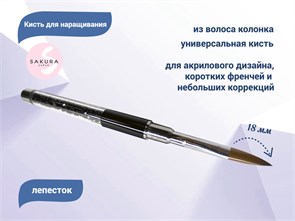 {{productViewItem.photos[photoViewList.activeNavIndex].Alt || productViewItem.photos[photoViewList.activeNavIndex].Description || 'Кисть для геля Sakura Лепесток, длина ворса 18 мм'}}