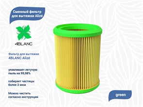 {{productViewItem.photos[photoViewList.activeNavIndex].Alt || productViewItem.photos[photoViewList.activeNavIndex].Description || 'Сменный фильтр для вытяжки 4BLANC Alize (Green)'}}