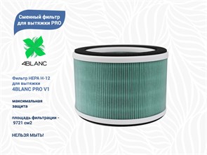 {{productViewItem.photos[photoViewList.activeNavIndex].Alt || productViewItem.photos[photoViewList.activeNavIndex].Description || 'Сменный фильтр для вытяжки 4BLANC PRO'}}