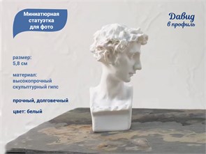 {{productViewItem.photos[photoViewList.activeNavIndex].Alt || productViewItem.photos[photoViewList.activeNavIndex].Description || 'Миниатюрная статуэтка Давида в профиль для фото дизайна ногтей и декора 5,8 см'}}