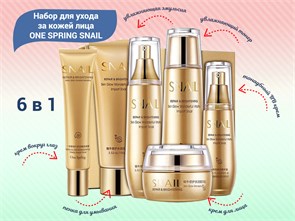 {{productViewItem.photos[photoViewList.activeNavIndex].Alt || productViewItem.photos[photoViewList.activeNavIndex].Description || 'Набор для ухода за кожей лица ONE SPRING SNAIL, с муцином улитки, 6 в 1'}}