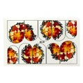 Слайдеры SiNail 3D №81 SN-3D081 - фото 484941
