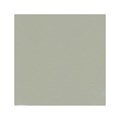 Фольга переводная для литья  матовая №016 IRISK Д101-11-016 - фото 491052