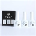 Базовый набор RockNail TRIO SAMPLE SET RN/TRIO - фото 499724