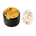 Гель для ногтей KLIO FLOWERS GEL №2, 5 г ko/fl2