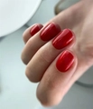Гель-лак Envy Exclusive №256, 10 г EY256