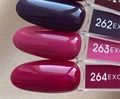 Гель-лак Envy Exclusive №263, 10 г EY263