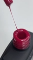 Гель-лак Magnetic 10 Delaro, 10 мл Del/Mg10