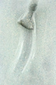 Гель-лак Milk Glimmer 911 Disco Dust, 9 мл M911