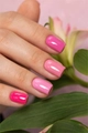 Гель-лак Monami Flora Blooms Pion, 8 г mn_flora_blooms2