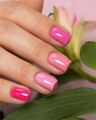 Гель-лак Monami Flora Blooms Rose, 8 г mn_flora_blooms4