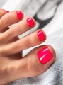Гель-лак Monami Pedicure collection 23, 8 г mi/pc23