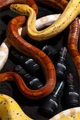 Гель-лак Monami Snake Eye №6, 8 г MN_Snake_Eye _6
