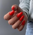 Гель-лак Mystique №95 Barberry, 10 мл Mst095-10