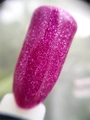 Гель-лак Sakura Wizard (волшебница) WD-022, 8 мл WD-022.