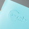 Кейс для пластин Swanky Stamping на 20 пластин, голубой SSC06