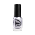 Лак для стемпинга Swanky Stamping M120, серо-голубой, 6 мл SSNPМ120