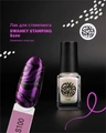 Лак для стемпинга Swanky Stamping S100 Хамелеон электро, 6 мл SSNPS100