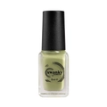 Лак для стемпинга Swanky Stamping S62, фисташковое мороженое, 6 мл SSNPS62