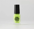 Лак для стемпинга Swanky Stamping S91, зеленая лужайка, 6 мл SSNPS91