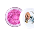 Микс Zoo Nail Art Морская ракушка №1671, 1 г zn/1671