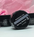 Моделирующий гель однофазный Spring Melody 5 Delaro, 15 г Del/MgSM5-15