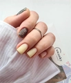 Пластина Swanky Stamping №25 SS025