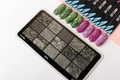 Пластина для стемпинга Go! Stamp 075 Leaves GS075PL