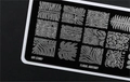 Пластина для стемпинга Go! Stamp 230 Floral Anatomy GS230PL