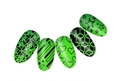 Пластина для стемпинга Miss Cheering Stamping №D12 OM-D12