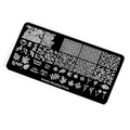 Пластина для стемпинга Swanky Stamping №09 (73) SS09