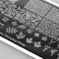 Пластина для стемпинга Swanky Stamping №09 (73) SS09
