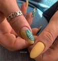 Пластина для стемпинга Swanky Stamping №10 SS010