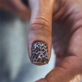 Пластина для стемпинга Swanky Stamping №109 SS109