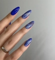 Пластина для стемпинга Swanky Stamping №113 SS113