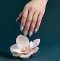 Пластина для стемпинга Swanky Stamping №113 SS113