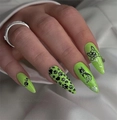 Пластина для стемпинга Swanky Stamping №119 SS119