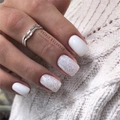 Пластина для стемпинга Swanky Stamping №24 SS024