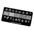 Пластина для стемпинга Swanky Stamping №32 SS032