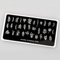 Пластина для стемпинга Swanky Stamping №38 SS038