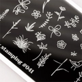 Пластина для стемпинга Swanky Stamping №41 SS041