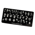 Пластина для стемпинга Swanky Stamping №42 SS042