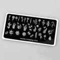 Пластина для стемпинга Swanky Stamping №42 SS042