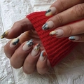 Пластина для стемпинга Swanky Stamping №42 SS042