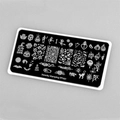 Пластина для стемпинга Swanky Stamping №50 (073) SS050
