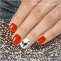Пластина для стемпинга Swanky Stamping №50 (073) SS050