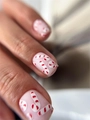 Пластина для стемпинга Swanky Stamping №52 SS052