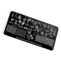 Пластина для стемпинга Swanky Stamping №60 SS060